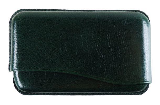 Porta Biglietti da Visita AP030 - Verde