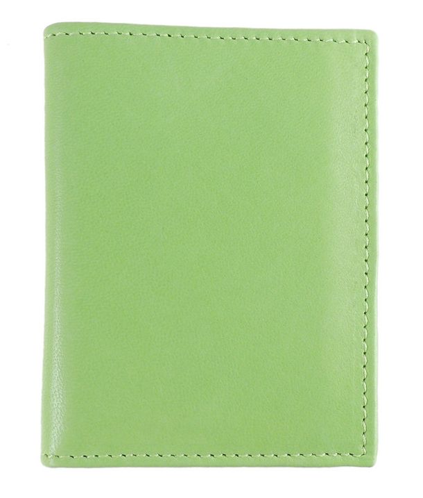 Card Holder AP302 - Light Green