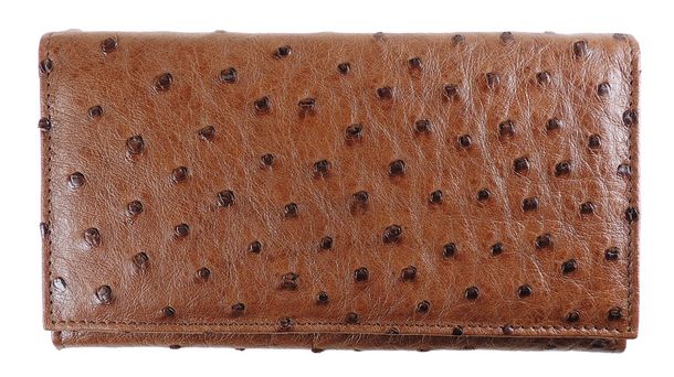 Wallet Bi-Fold AP6031 - Brown - 005