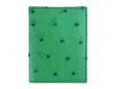 Bi-Fold AP302S - Verde