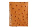 Bi-Fold AP302S - Marrone Chiaro