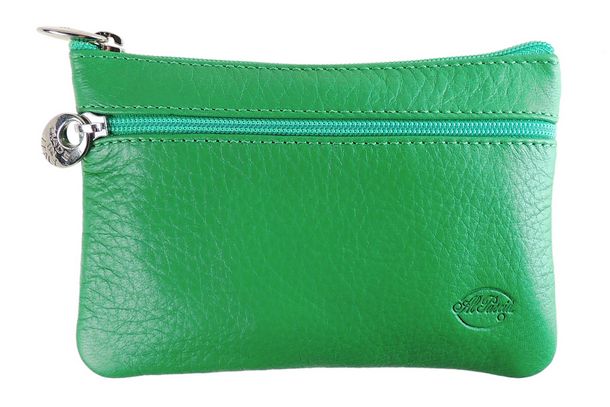 Key Case AP740D - Green