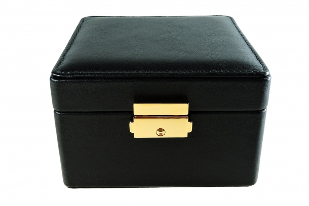 Watch Display Case AP3332P - Black