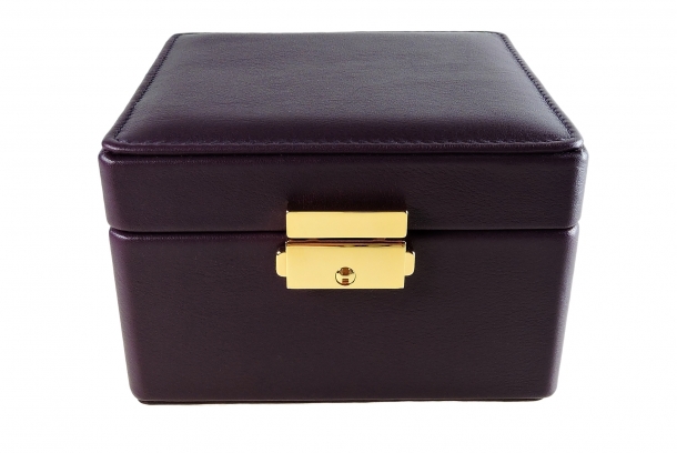 Watch Display Case AP3332P - Violet