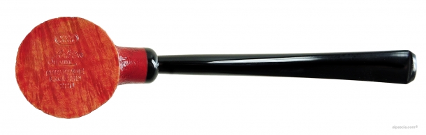 Pipa Ashton Quaint XXX - 282 c