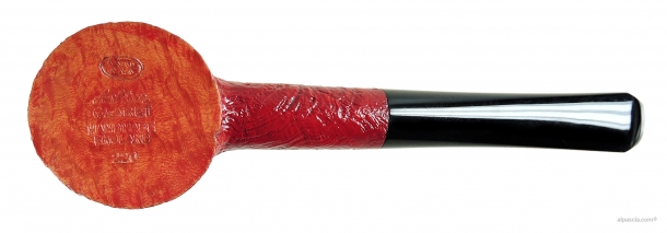 Pipa Ashton Claret XXX - 288 c