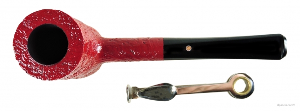 Pipa Ashton Claret XXX - 288 d