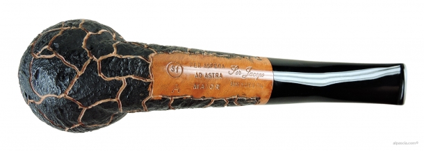 Ser Jacopo S1 Maior A pipe 1444B c