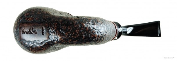 Pipa Brebbia Tom Paul Sabbiata - 337 c
