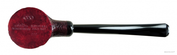 Pipa Ashton Achievement XX - 329 c