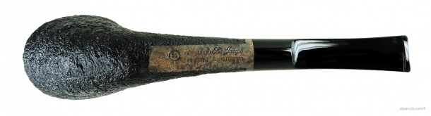 Pipa Ser Jacopo S1 B Due Maxima - 1661 c