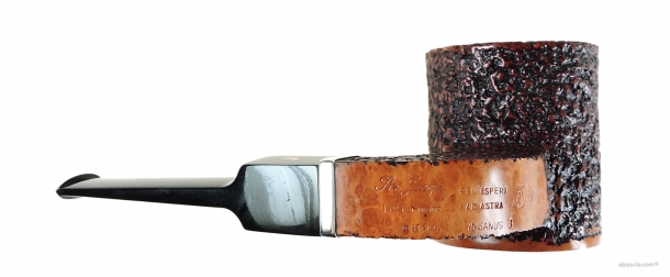 Ser Jacopo Insanus R13 smoking pipe 1723 b