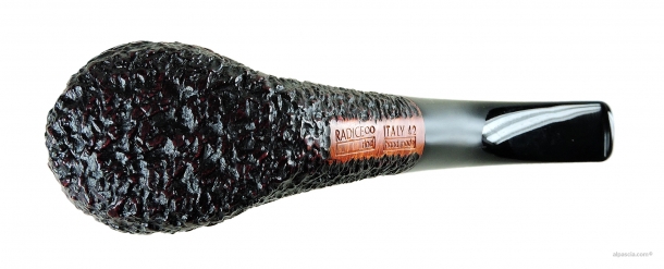 Pipa Radice Rind 1571 c