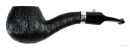 L'ANATRA PETTINATA