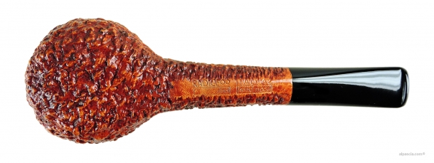 Pipa Radice Rind 1597 c