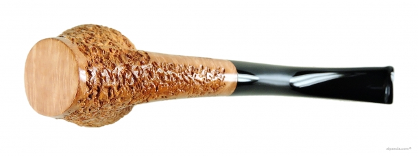 Pipa Ser Jacopo Spongia R2 - 1769 c