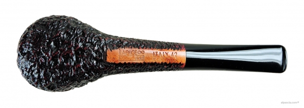 Radice Rind smoking pipe 1598 c
