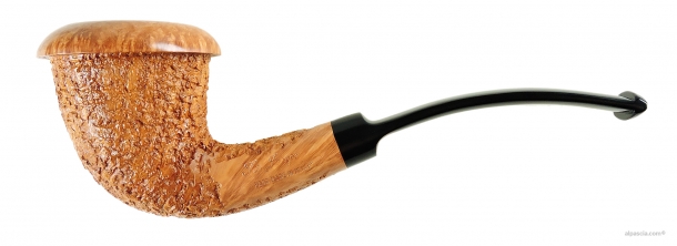 Pipa Ser Jacopo Spongia R2 A - 1790 a