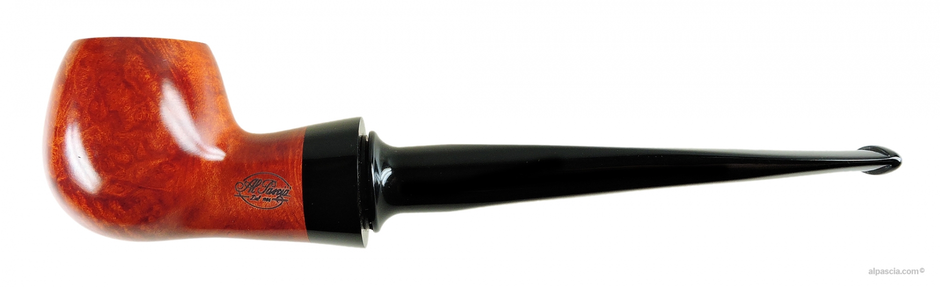 Alpascia curvy nature01-reverse calabash 新品本物購入 www