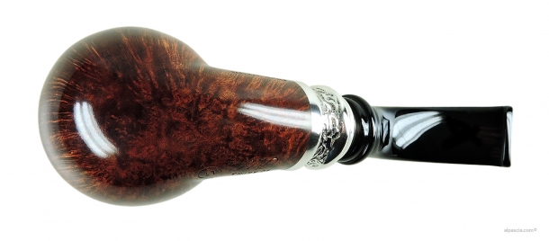 Pipa Ser Jacopo Pulchra L1 C - 1833 c