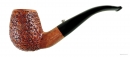 L'ANATRA RUSTICATA