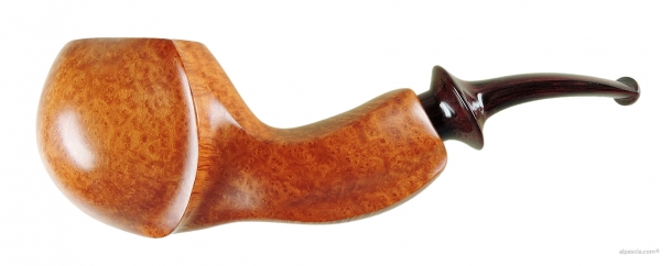 Pipa Sauro - 001 a