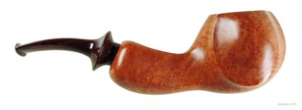 Pipa Sauro - 001 b
