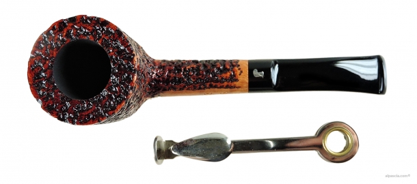 Pipa Ser Jacopo R1 - 1881 d