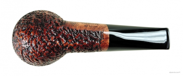 Pipa Ser Jacopo R1 - 1884 c