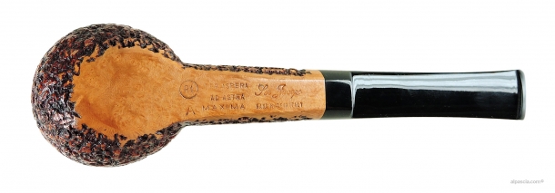 Pipa Ser Jacopo R1 A Maxima - 1888 C