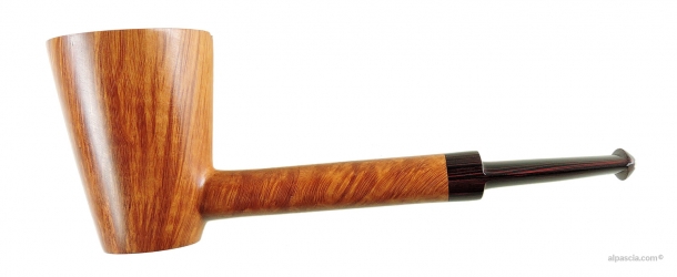 Pipa Sauro - 002 a