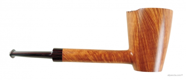 Pipa Sauro - 002 b