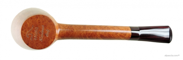 Pipa Sauro - 002 c