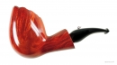L'ANATRA VENTURA