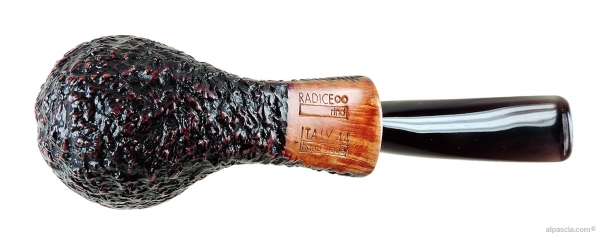 Radice Rind smoking pipe 1846 c