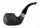 L'ANATRA RUSTICATA