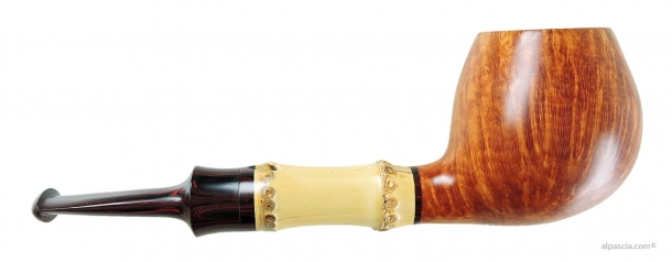 Pipa Sauro - 004 b