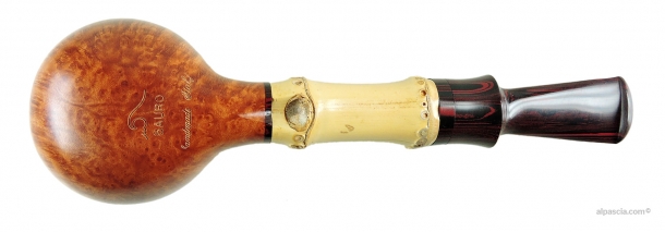 Pipa Sauro - 004 c