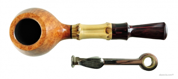 Pipa Sauro - 004 d