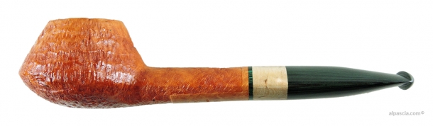 Pipa Sauro - 006 a