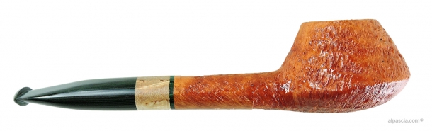 Pipa Sauro - 006 b