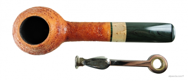 Pipa Sauro - 006 d