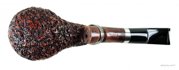 Pipa Ser Jacopo Insanus R1 D 1 - 2098 c
