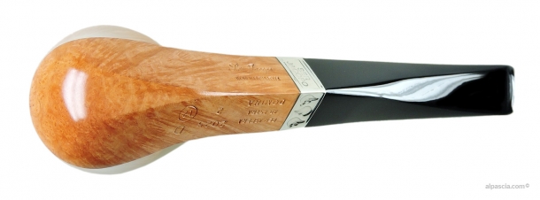 Pipa Ser Jacopo Domina 2025 L2 D 2 - 2107 c