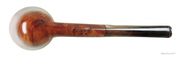 Pipa Amorelli ** - 341 c