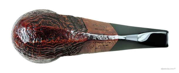 Pipa Ser Jacopo S2 B 2 Maxima - 2115 c