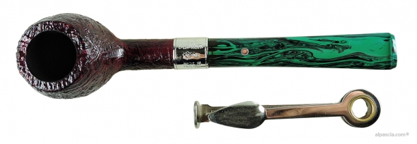 Pipa Ashton Brindle X - 402 d