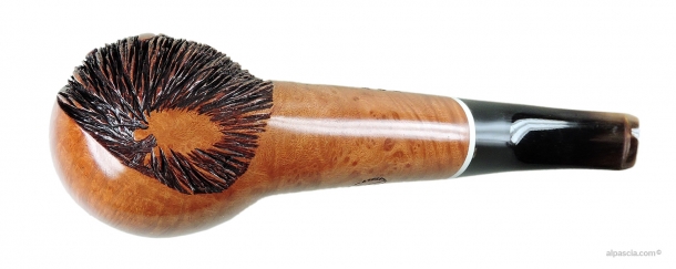Pipa Amorelli *** - 344 c
