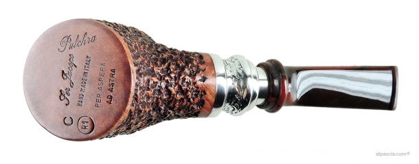 Pipa Ser Jacopo Pulchra R1 C - 2117 c