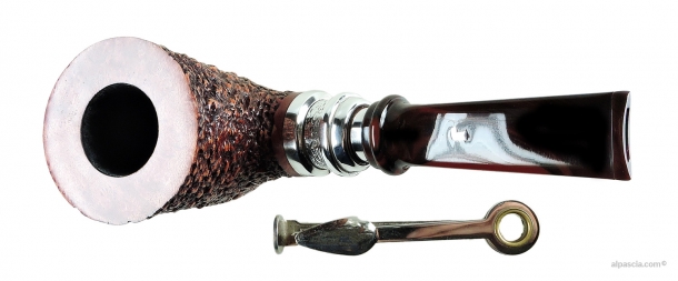 Pipa Ser Jacopo Pulchra R1 C - 2117 d